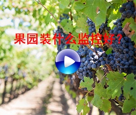 果園裝什么監(jiān)控好？
