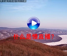 什么是慢直播？