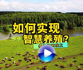 智慧養(yǎng)殖慢直播系統(tǒng)如何搭建？