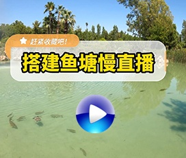 魚塘釣魚實(shí)時慢直播解決方案