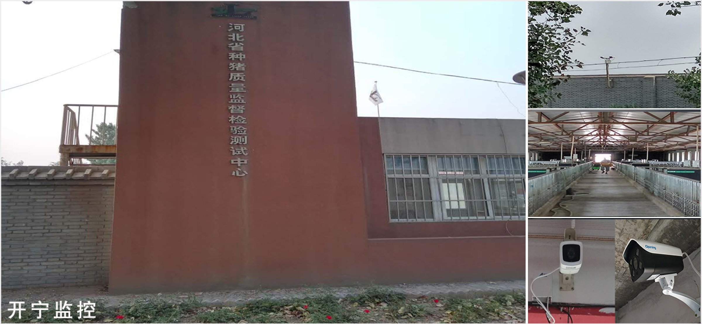 開寧養(yǎng)殖場(chǎng)監(jiān)控案例